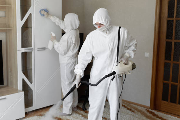 Best Industrial Mold Remediation in Spanay, WA